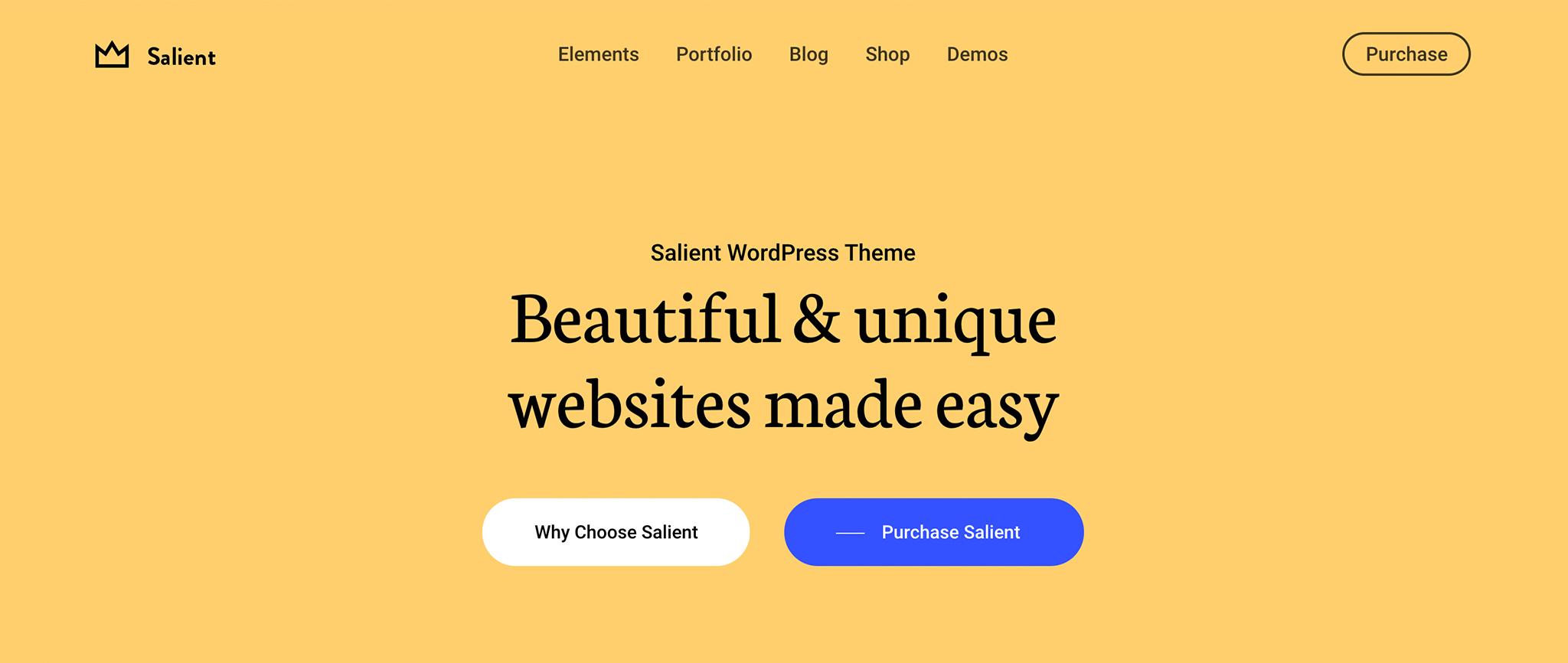 Salient Premium WordPress Theme