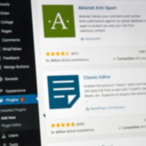Blurred closeup photo of WordPress plugin installation screen